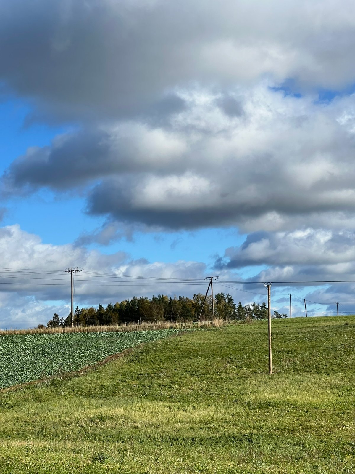 13,2 ha zeme Rēzeknes novadā — sadarbībai saules enerģijas projektā